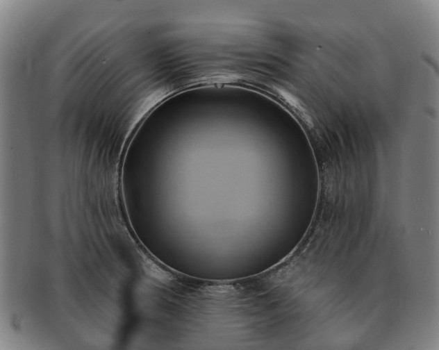 X0000091591186200708271236