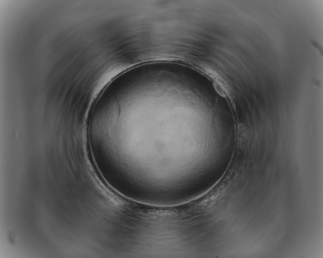 X0000091591187200708271236