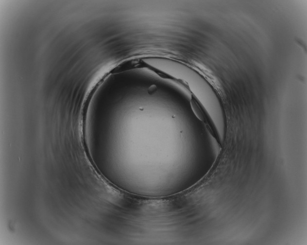 X0000091591188200708271236