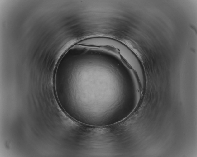 X0000091591189200708271236
