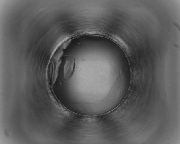 X0000091591190200708271236