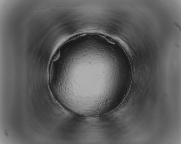 X0000091591191200708271236