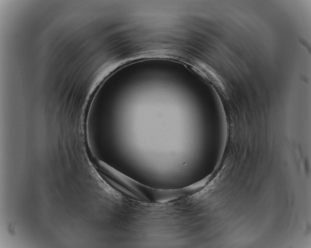 X0000091591192200708271236