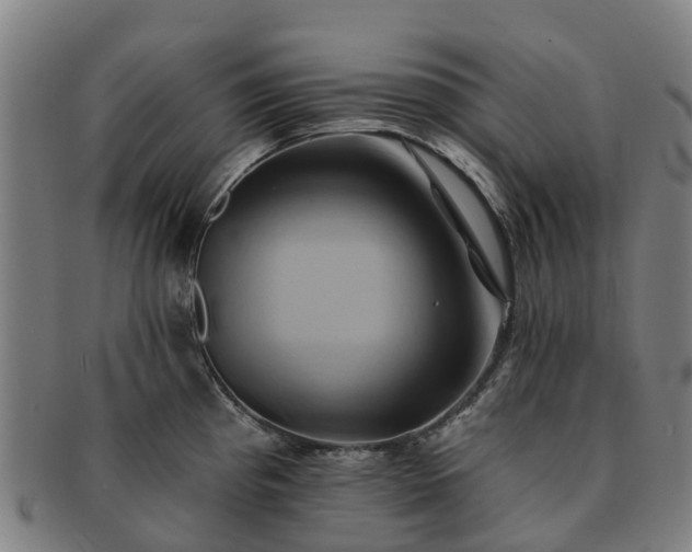 X0000091591193200708271236