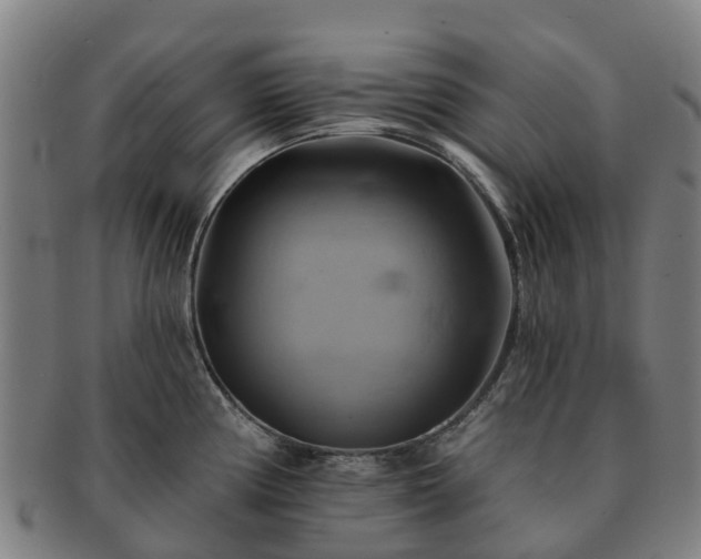 X0000091591194200708271236