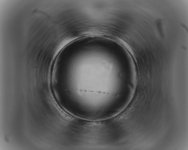 X0000091591195200708271236