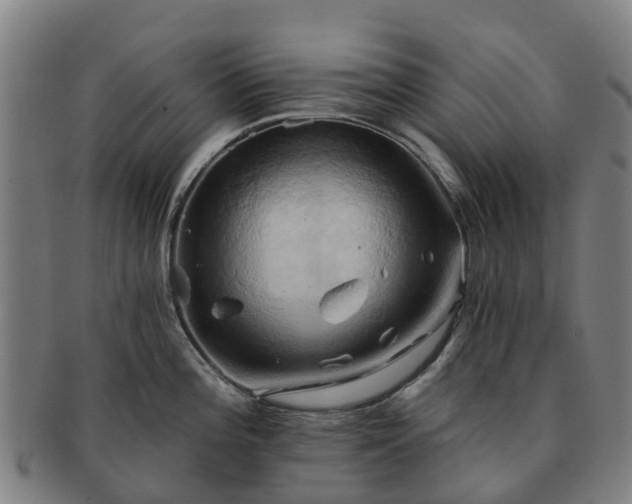 X0000091591196200708271236
