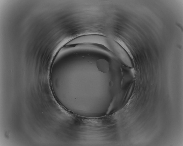 X0000091591197200708271236