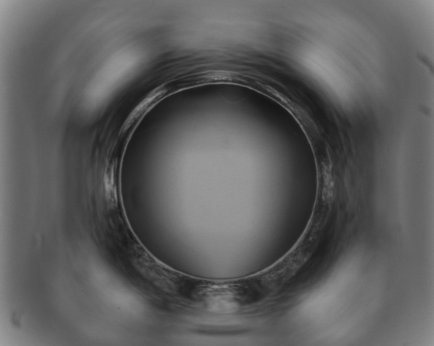 X0000091591198200708271236