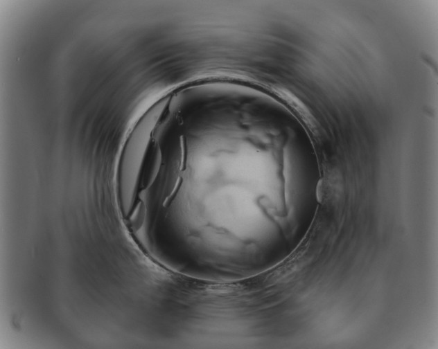 X0000091591199200708271236