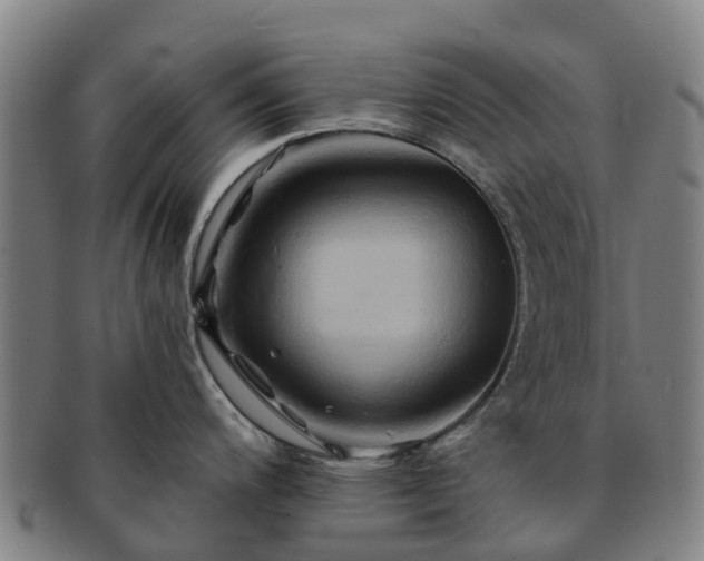 X0000091591200200708271236
