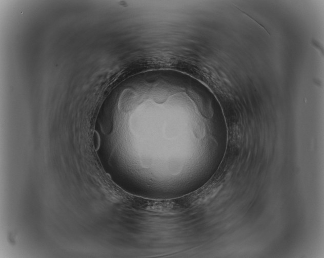X0000091591201200708271235