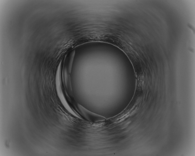 X0000091591202200708271235