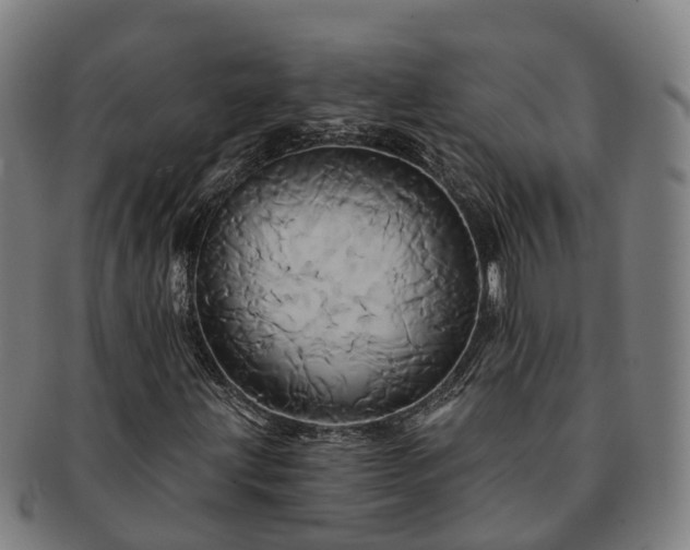 X0000091591203200708271235