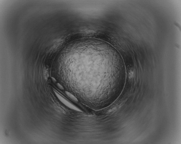X0000091591204200708271235