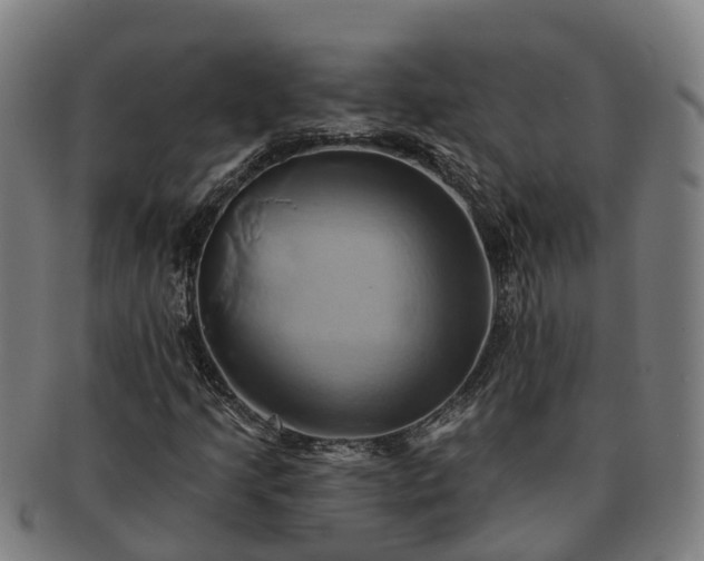 X0000091591205200708271235