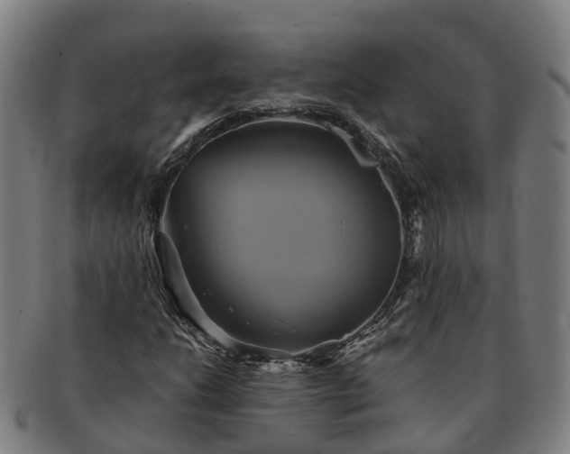 X0000091591206200708271235