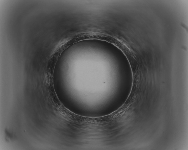 X0000091591207200708271235