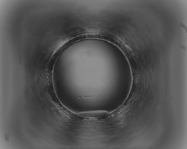 X0000091591208200708271235