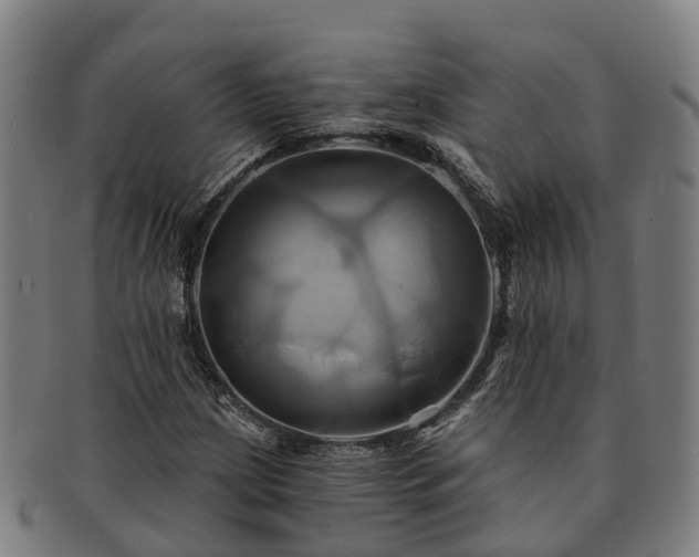 X0000091591209200708271235