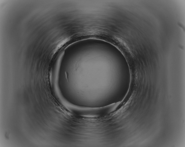 X0000091591210200708271235
