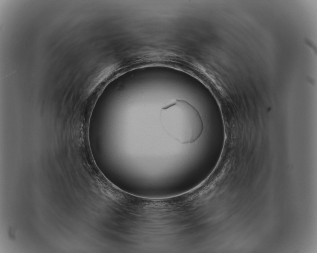 X0000091591211200708271235