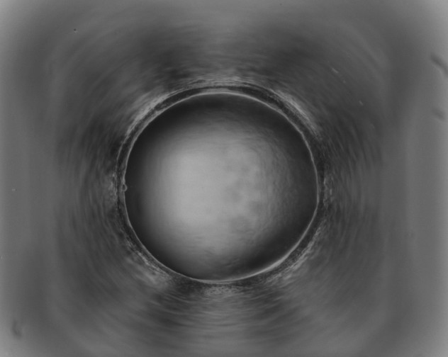 X0000091591212200708271235
