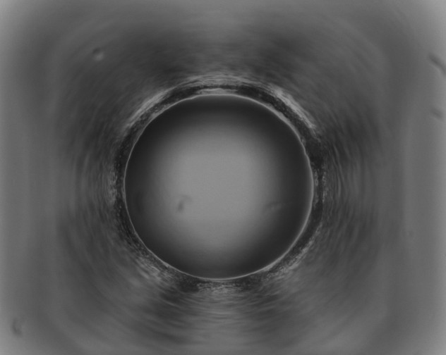 X0000091591213200708271235