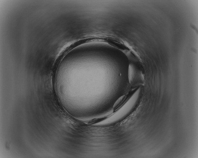 X0000091591214200708271235
