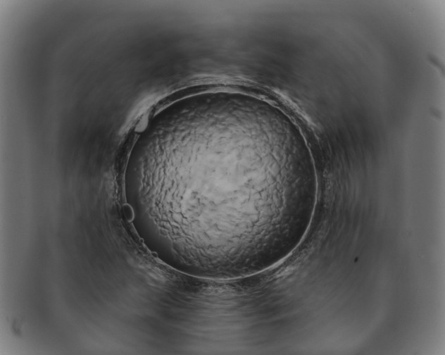 X0000091591215200708271235