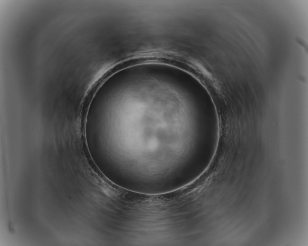 X0000091591216200708271235