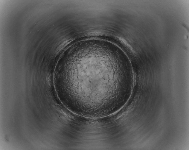 X0000091591217200708271235