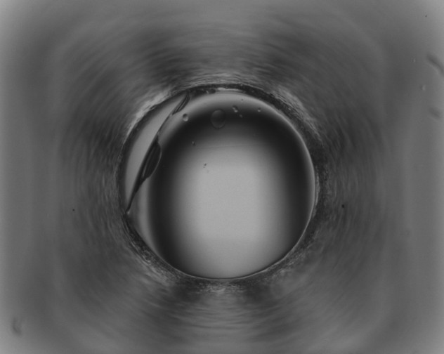X0000091591218200708271235