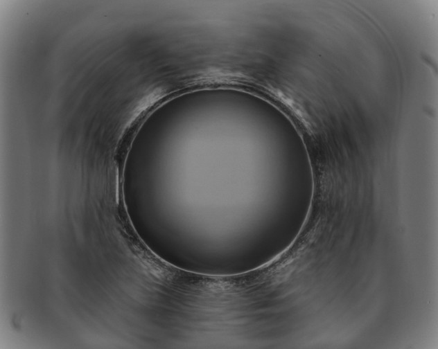 X0000091591219200708271235