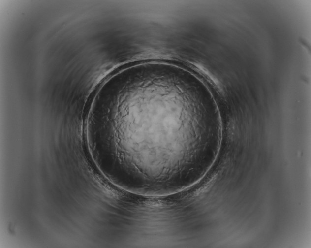 X0000091591220200708271235