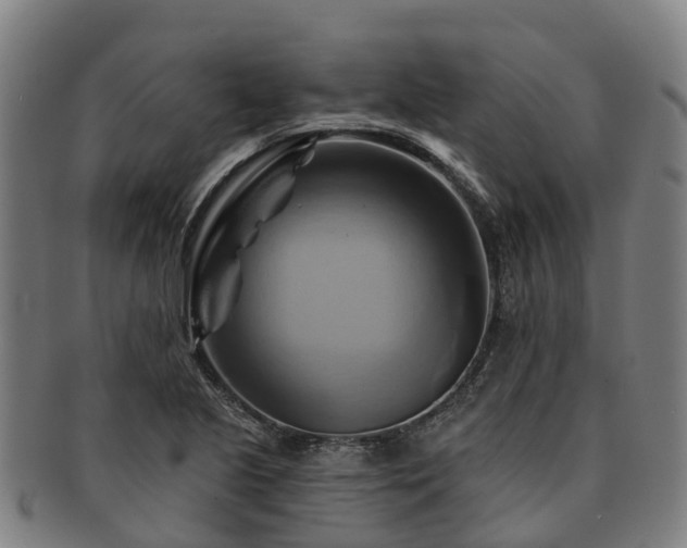 X0000091591221200708271235
