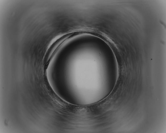X0000091591222200708271235