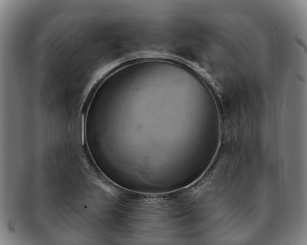 X0000091591223200708271235