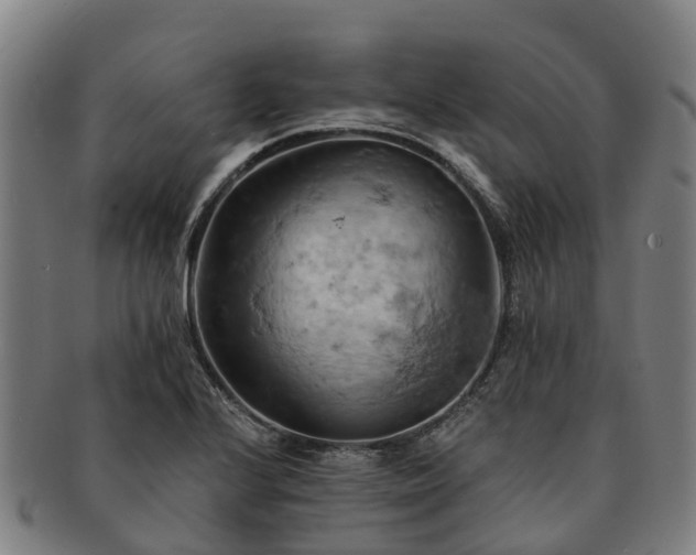 X0000091591224200708271236