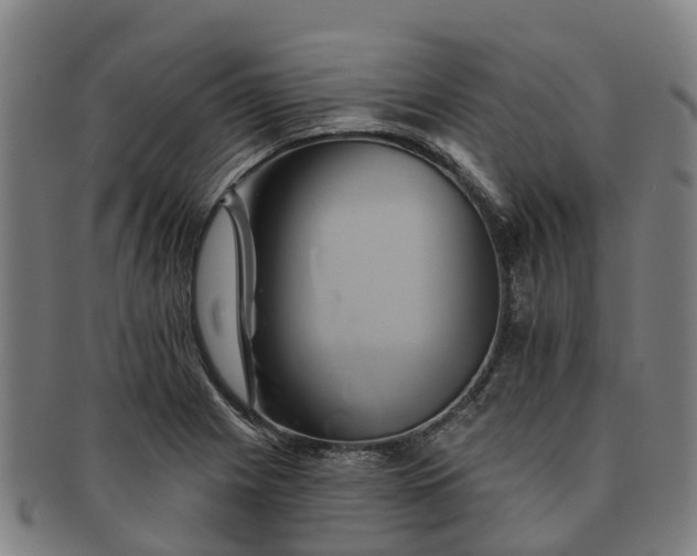 X0000091591225200708271236