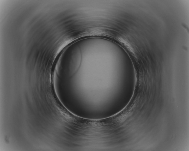 X0000091591226200708271236