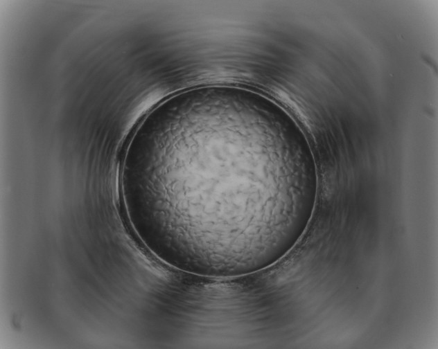 X0000091591227200708271236