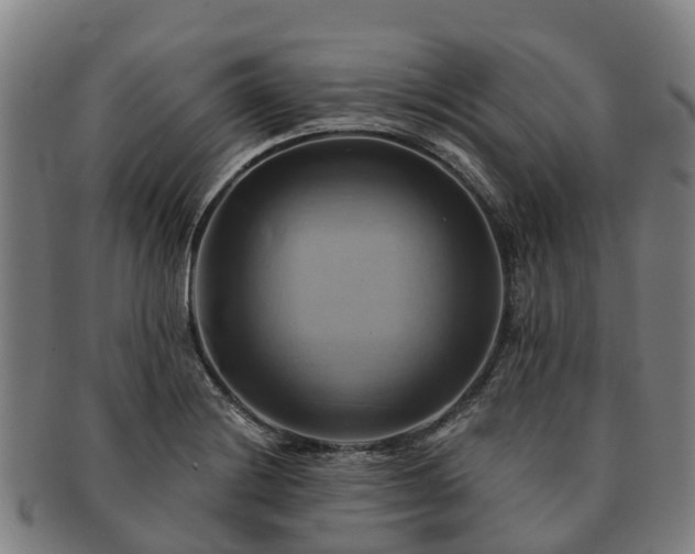 X0000091591228200708271236