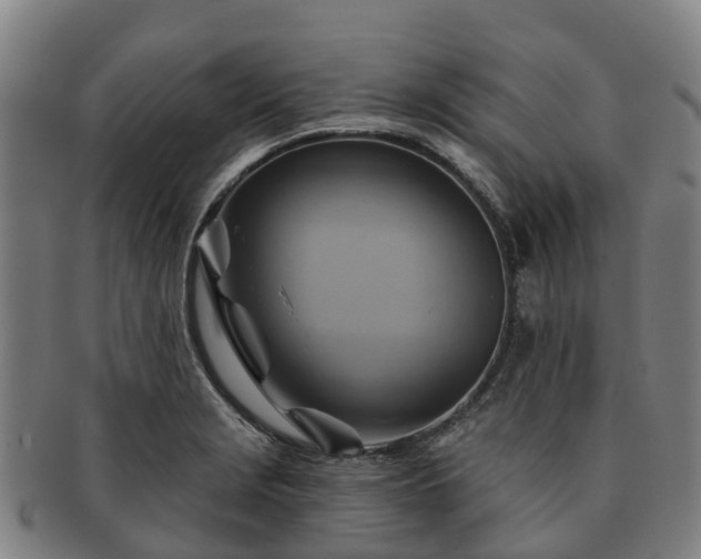 X0000091591229200708271236