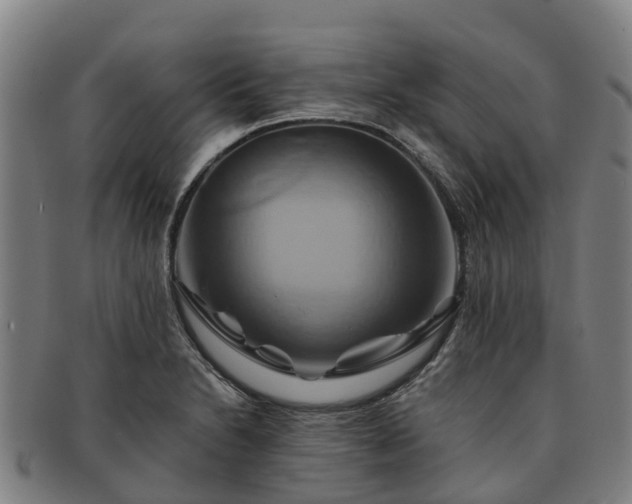 X0000091591230200708271236