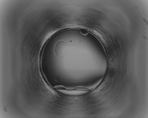 X0000091591231200708271236