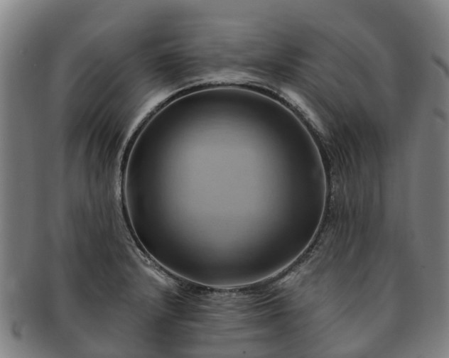 X0000091591232200708271236