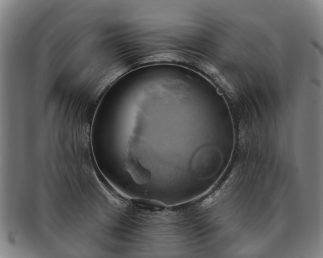 X0000091591233200708271236