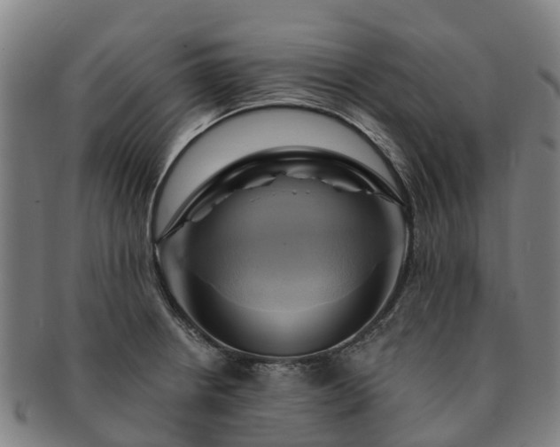 X0000091591234200708271236