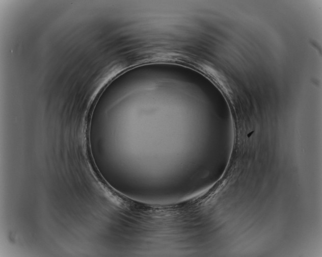 X0000091591235200708271236